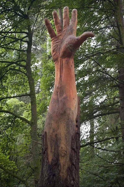 ARBRE EN PERIL.jpg