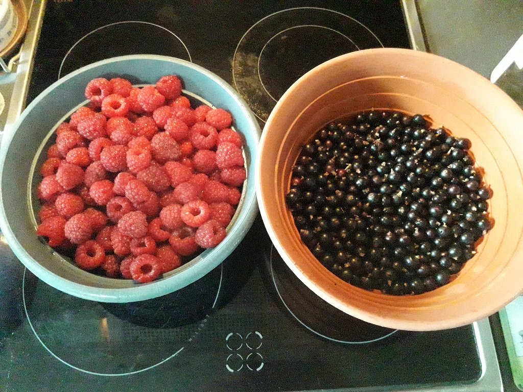 210625 récolte du jour.jpg