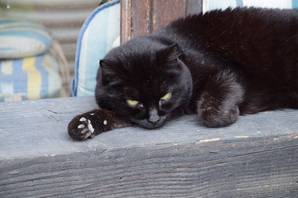 DSC_0084.JPG
