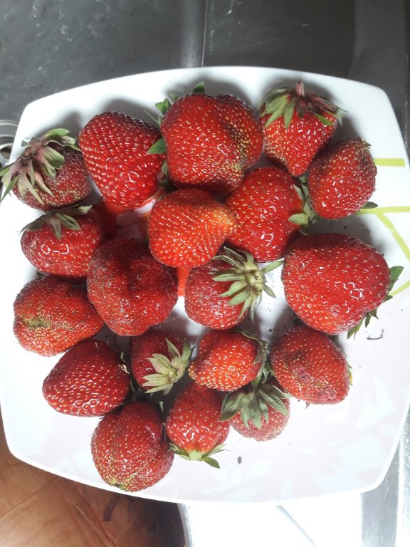 210705 fraises.jpg