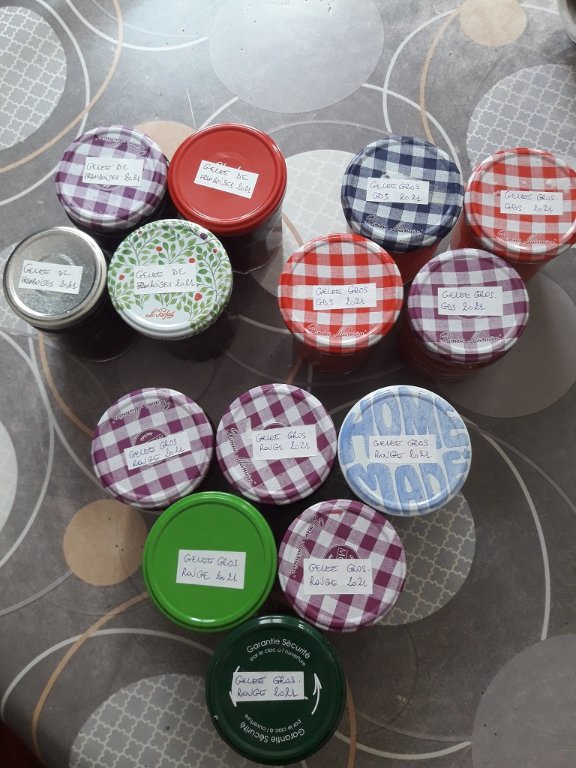 210707 production de gelées.jpg