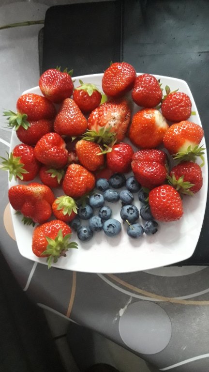210714 fraises et bleuets.jpg