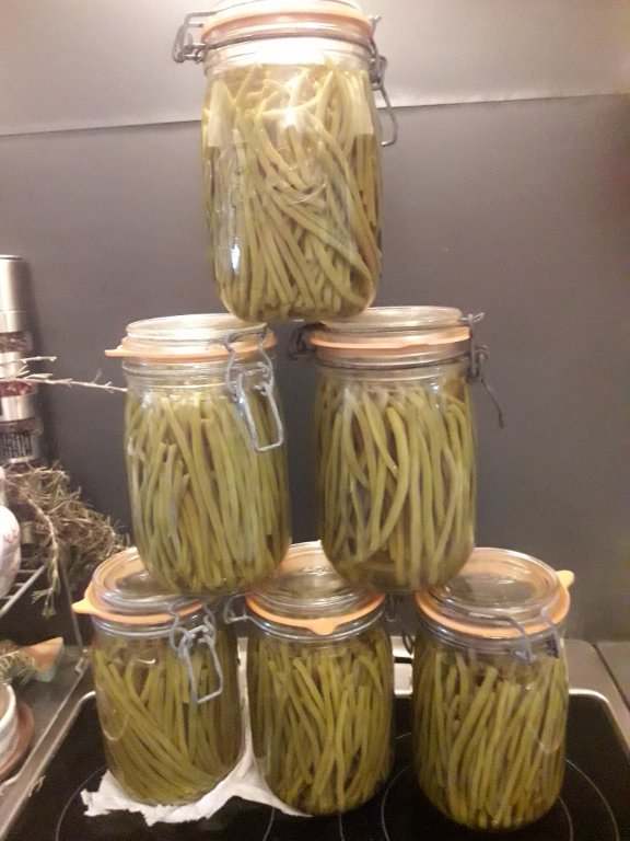 210714 premiers bocaux de haricots.jpg
