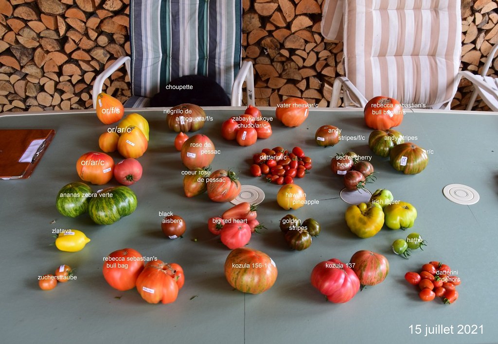 DSC_0372 - Copie.JPG