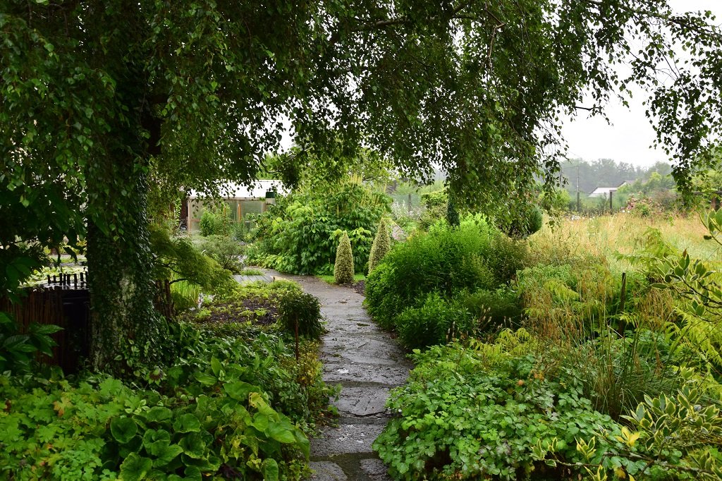 DSC_0335.JPG