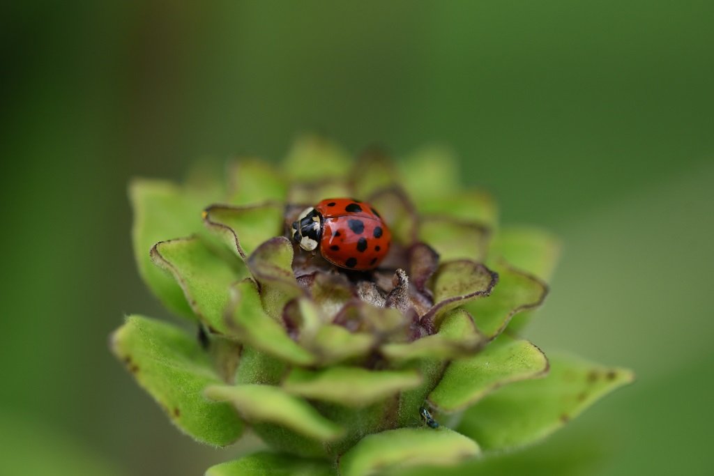 DSC_2725.JPG