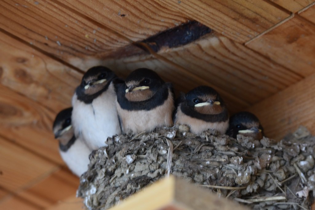 DSC_3558.JPG