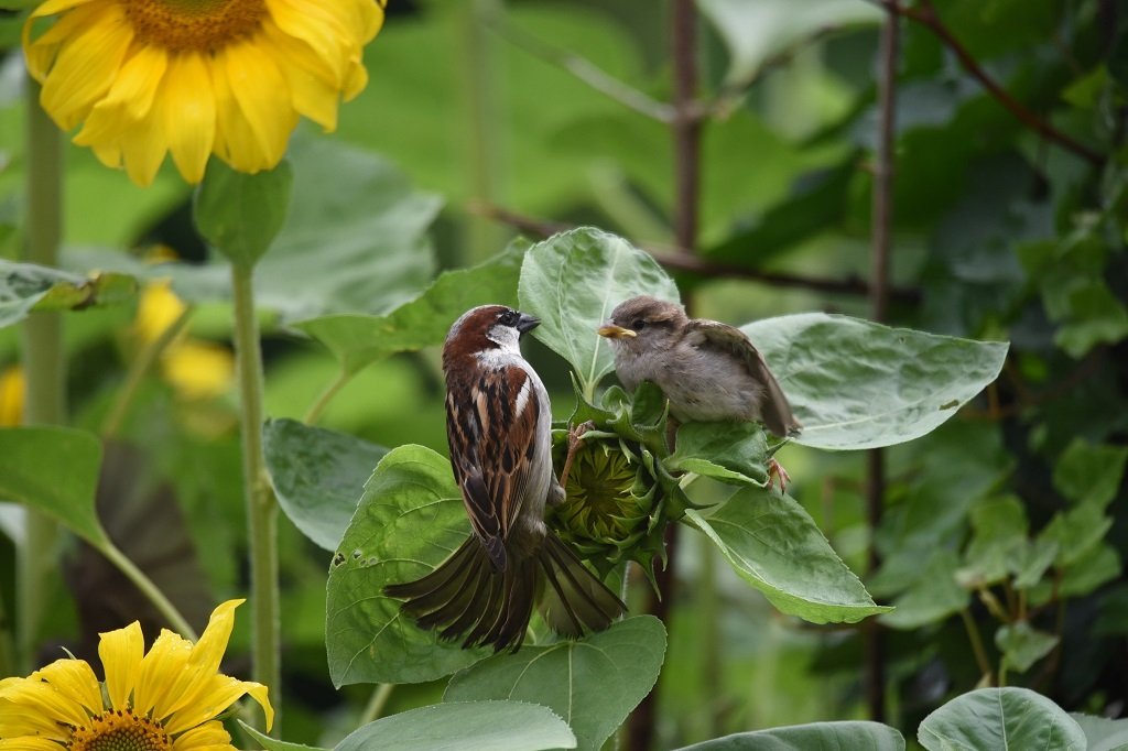 DSC_3628.JPG