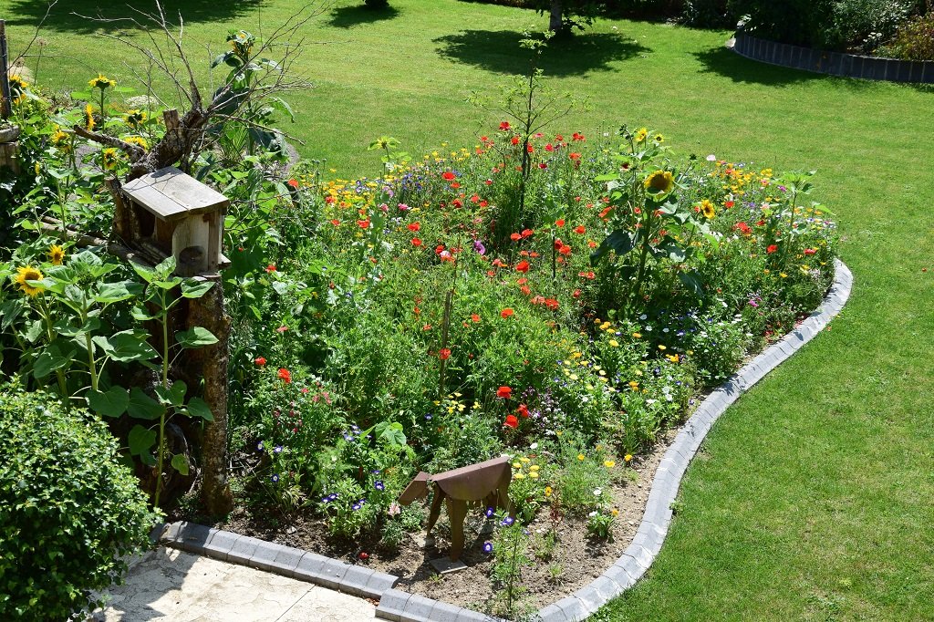 DSC_0448.JPG