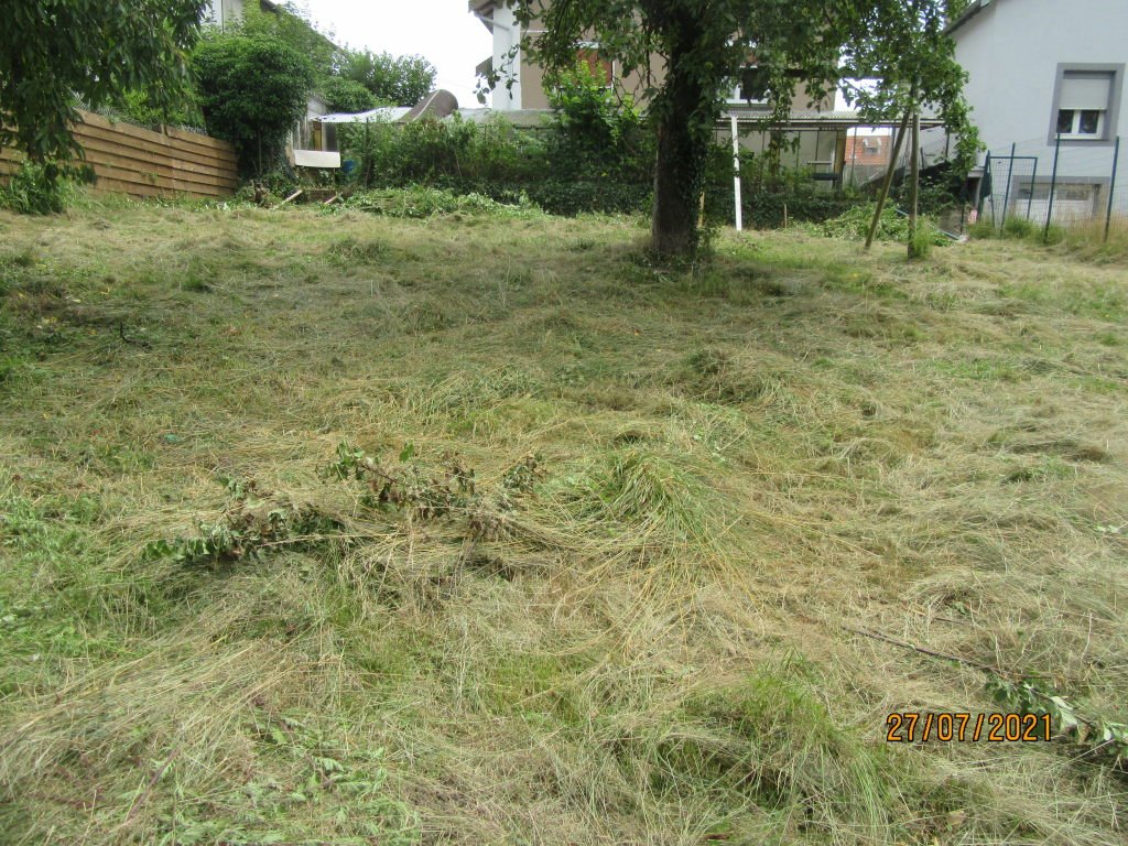 bas jardin.jpeg
