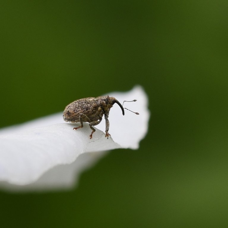 DSC_3045.JPG
