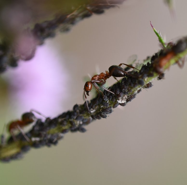 DSC_3181.JPG