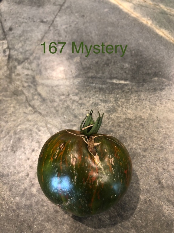 IMG_3470.jpeg
