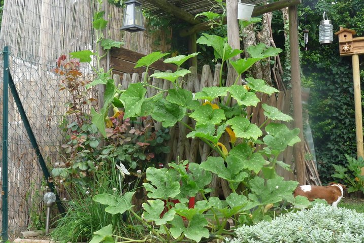 P1040954-ConvertImage.jpg