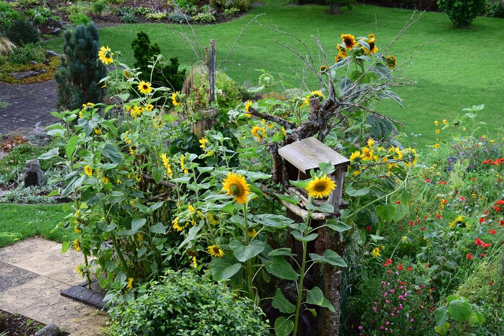 DSC_0049.JPG