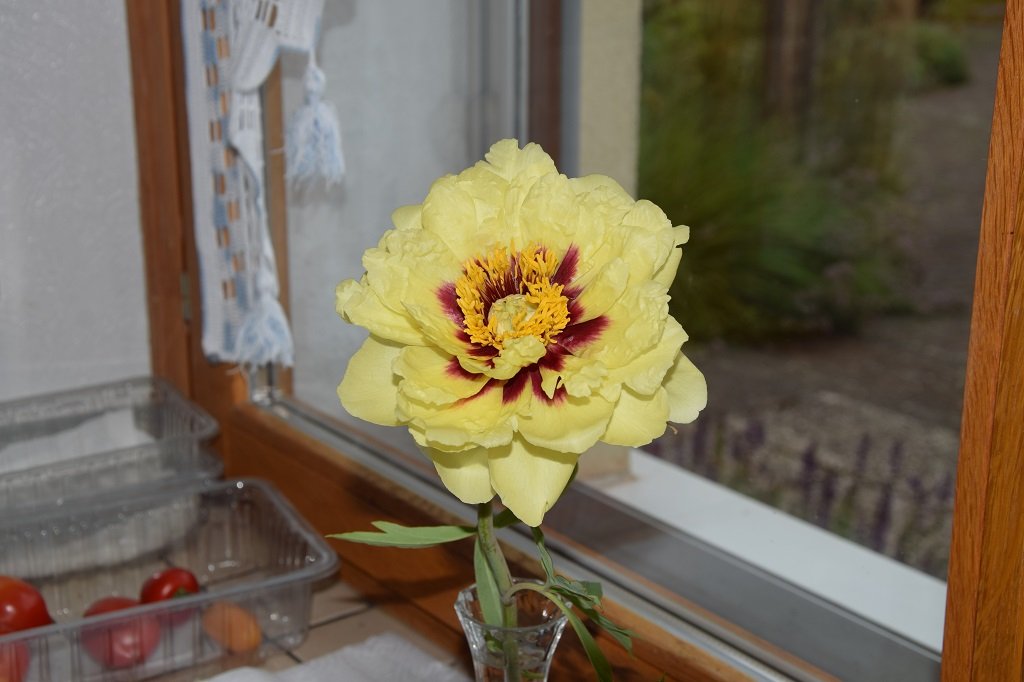 DSC_0042.JPG