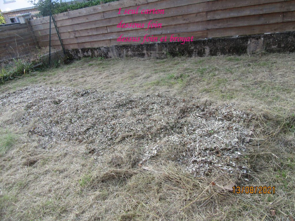carton13aout.jpeg