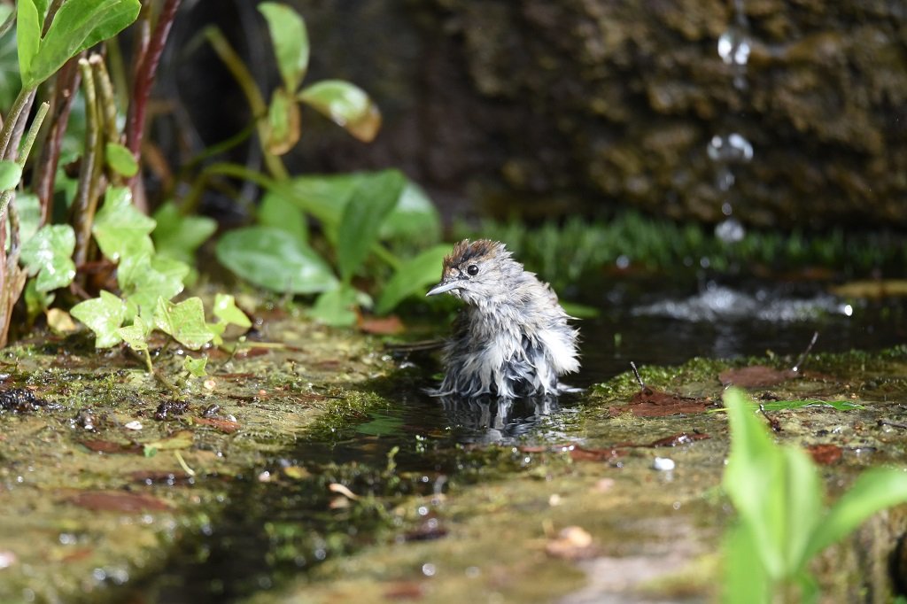 DSC_5151.JPG