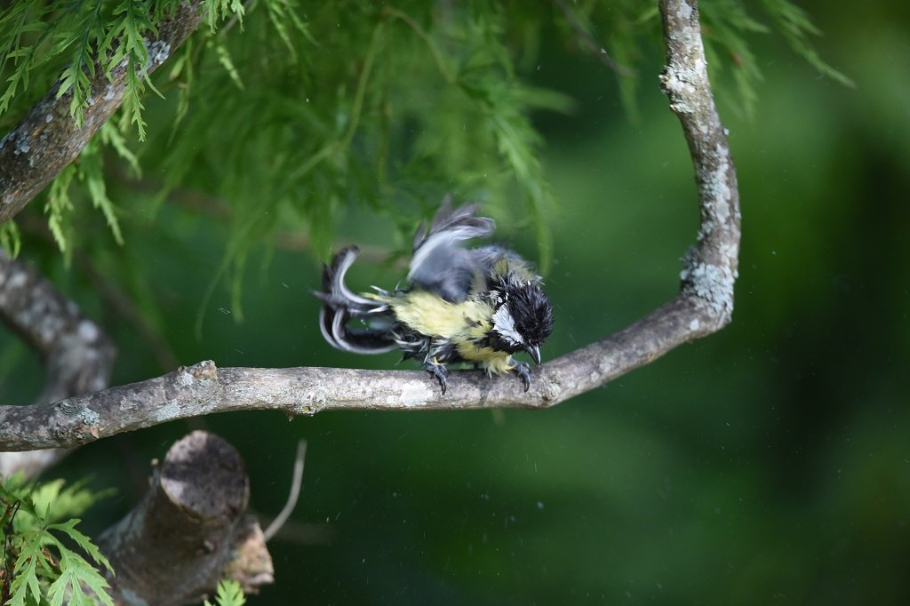 DSC_5204.JPG
