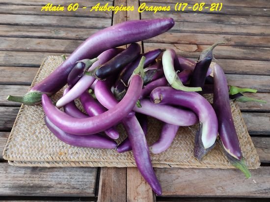 Aubergine Crayon.jpg