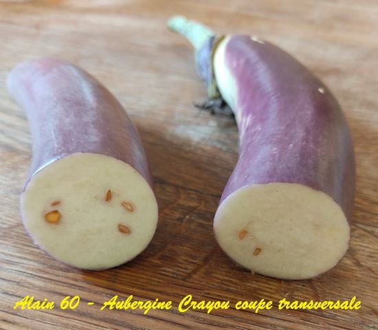 Aubergine Crayon3.jpg