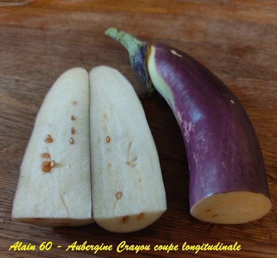 Aubergine Crayon4.jpg