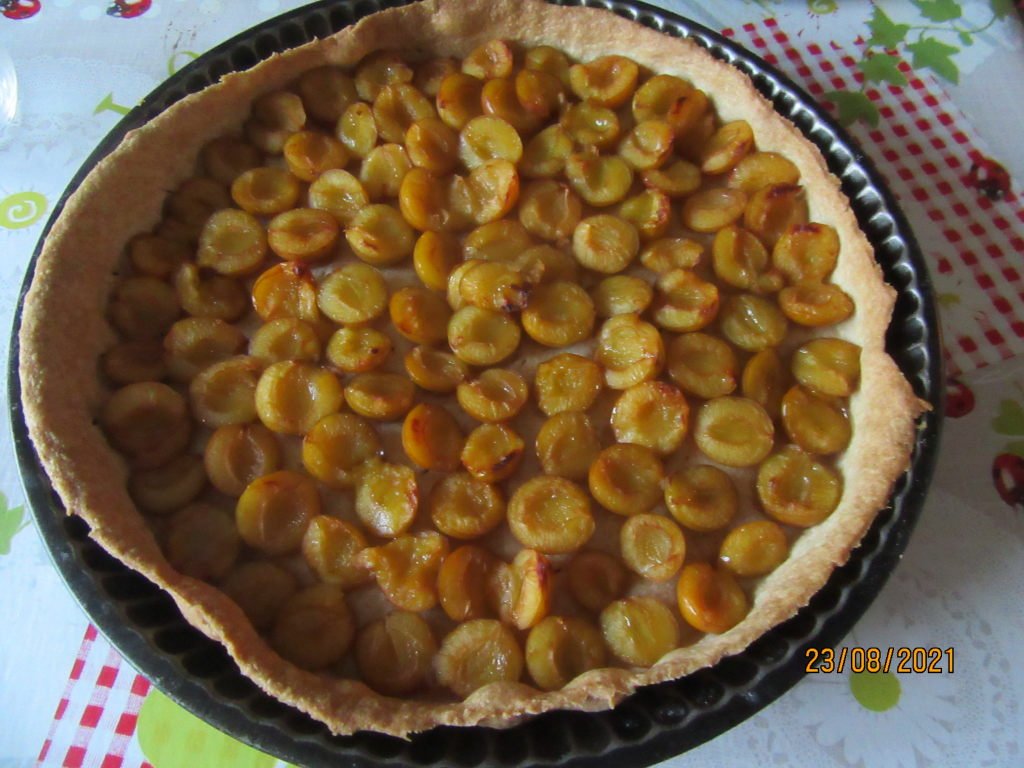 mira fraiche.jpeg