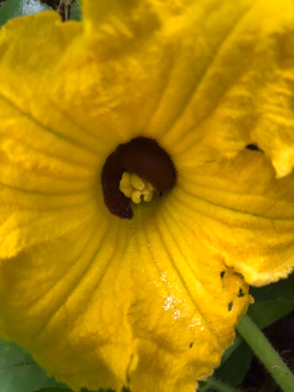 0DB95A93-555C-49DB-BE21-355BE480BD60.jpeg