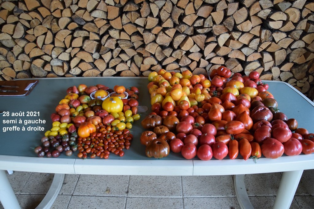 DSC_0408.JPG