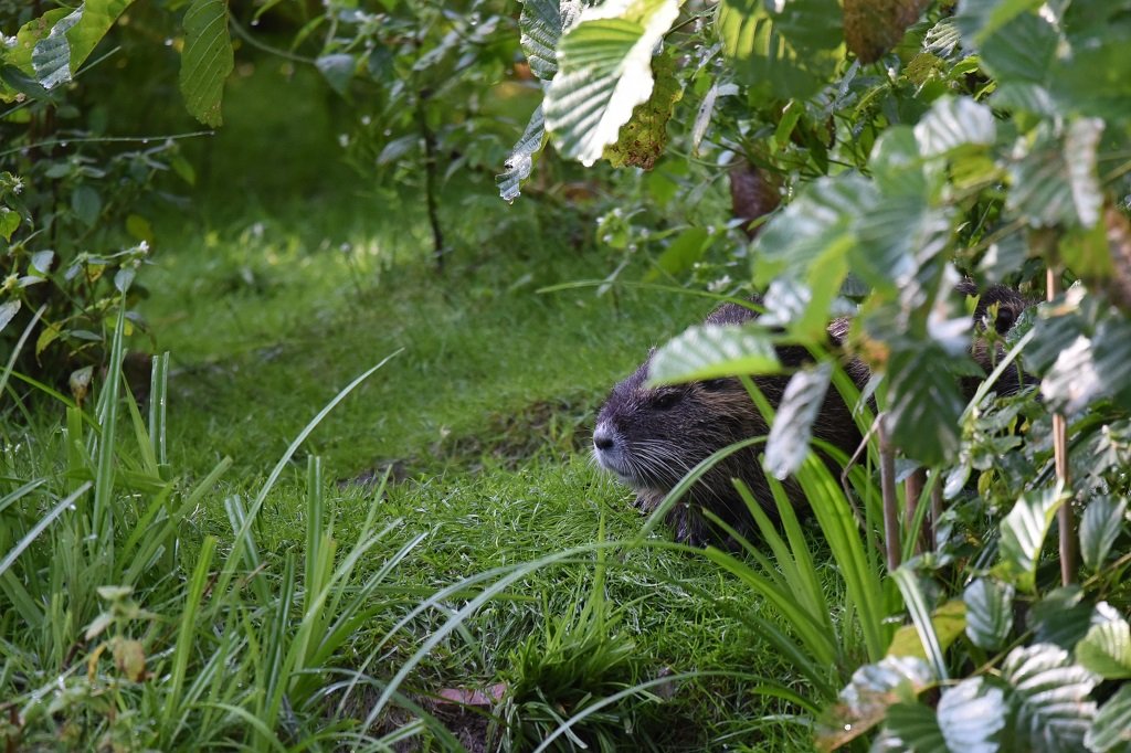 DSC_5866.JPG