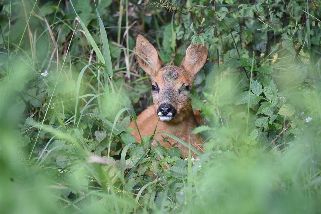DSC_5874.JPG