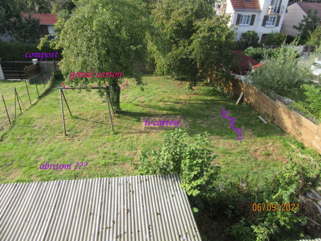 previ jardin.jpeg