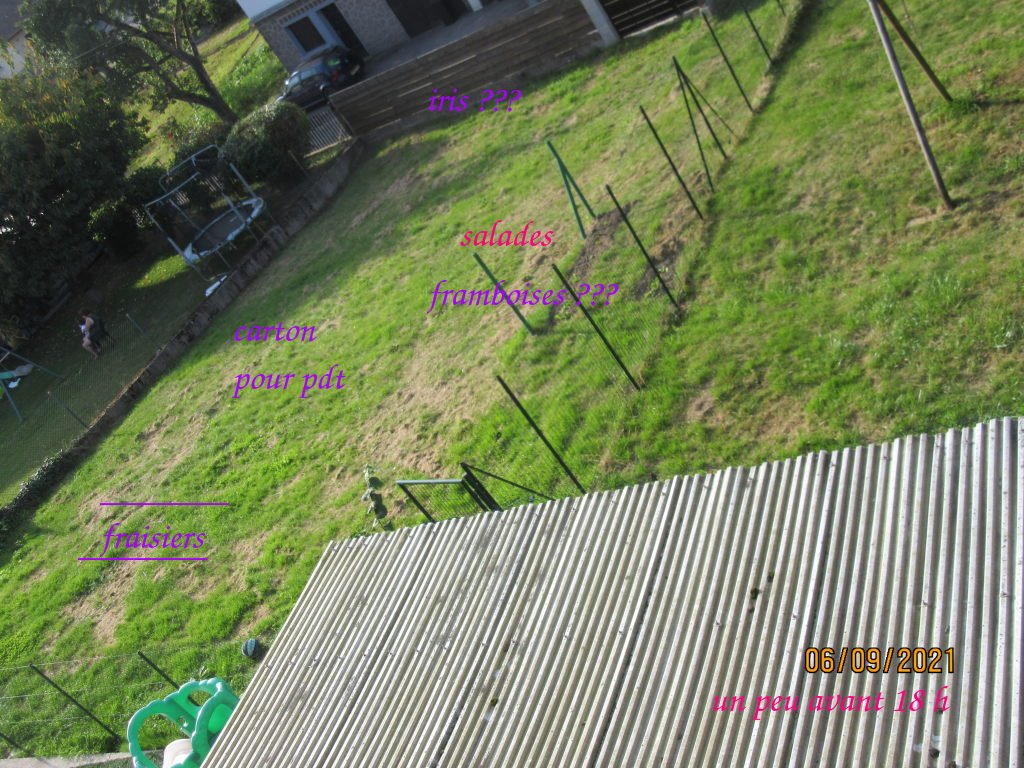 prevision jardin.jpeg