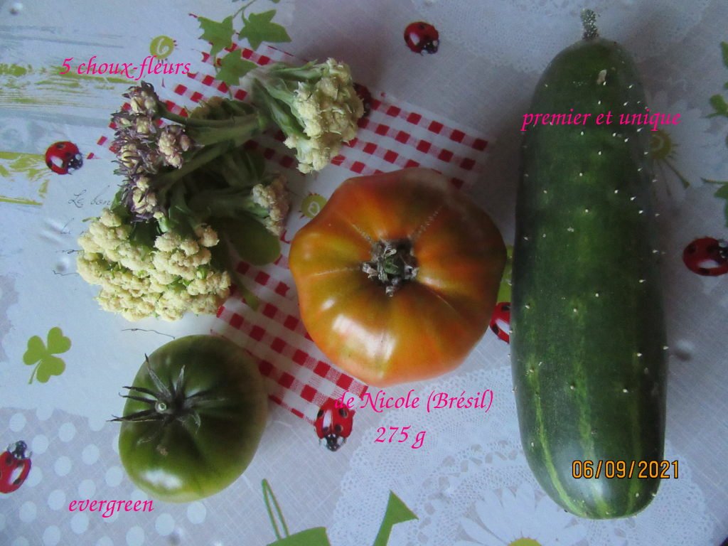 recolte6sept.jpeg
