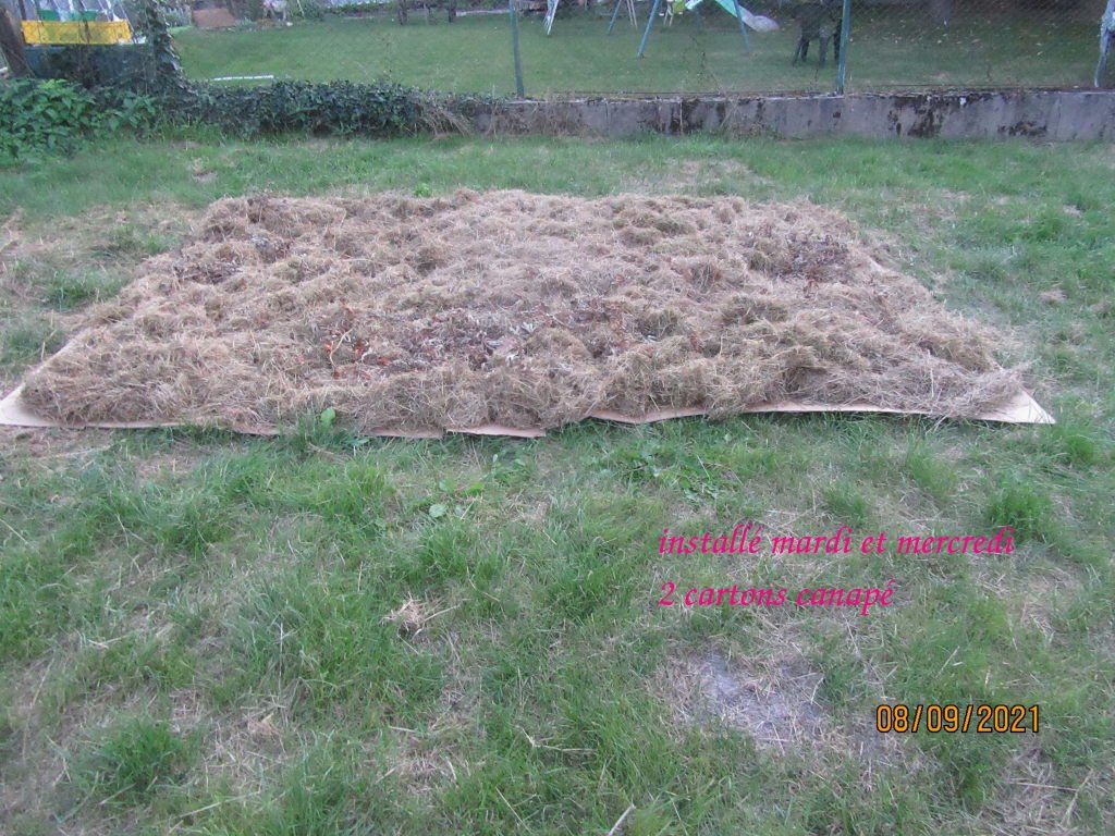 carton gauche.jpeg