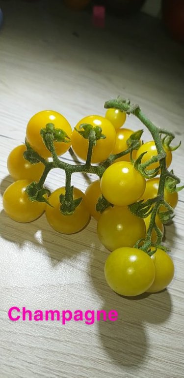 Celle ci m'a vraiment réconcilié avec les tomates jaunes!