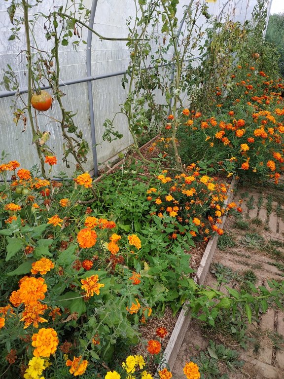 IMG_20210915_114615.jpg