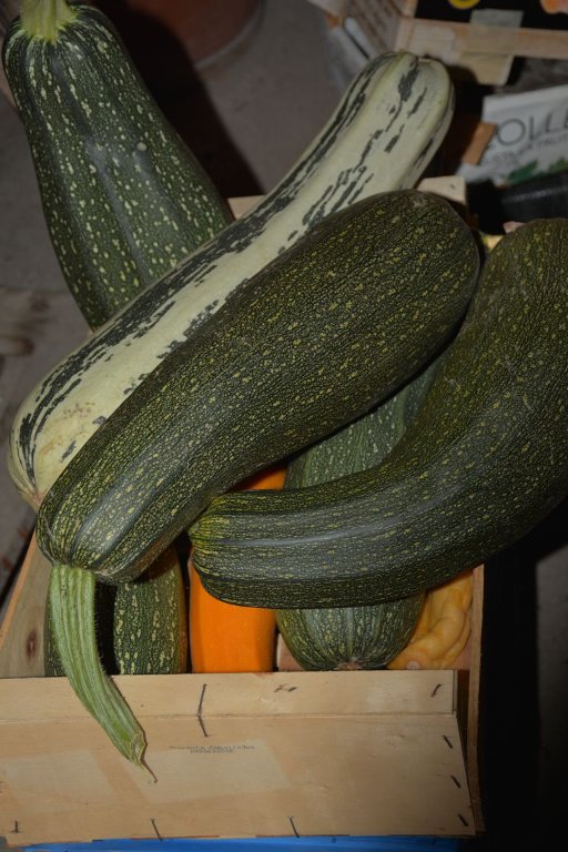 DSC_9564 Courgettes (perso).jpg