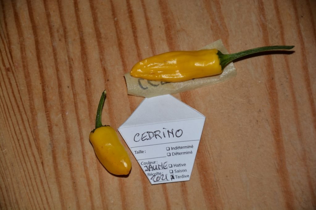 DSC_9569 (perso).jpg