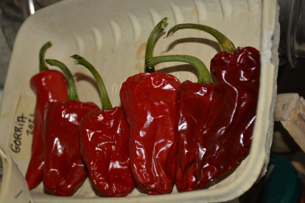 DSC_9572 (perso).jpg