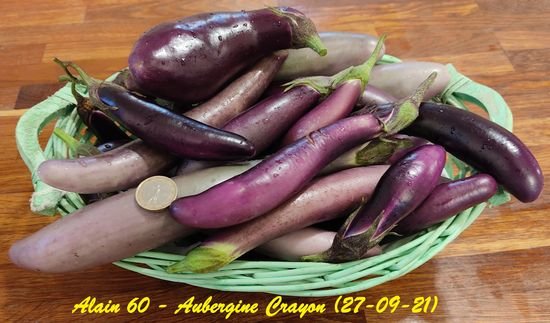 Aubergine Crayon.jpg