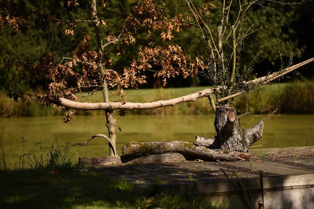 DSC_5197.JPG
