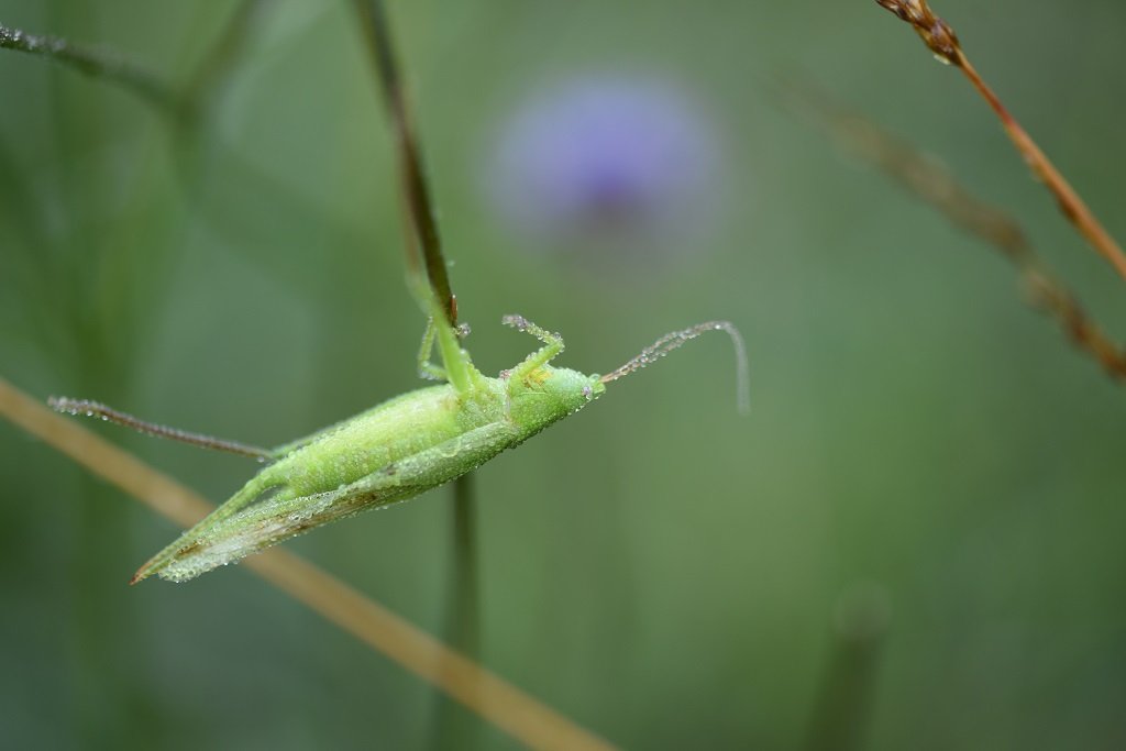DSC_5173.JPG