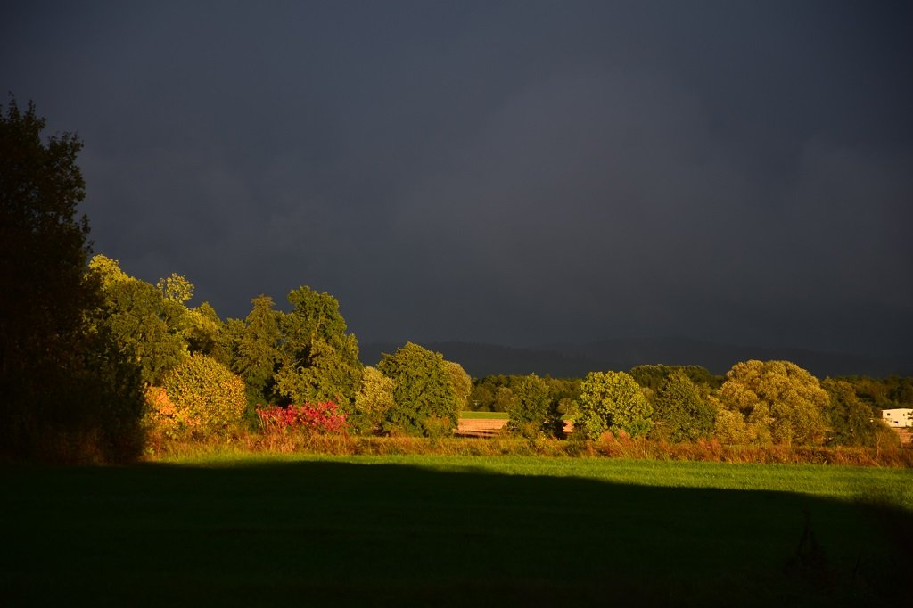 DSC_0435.JPG