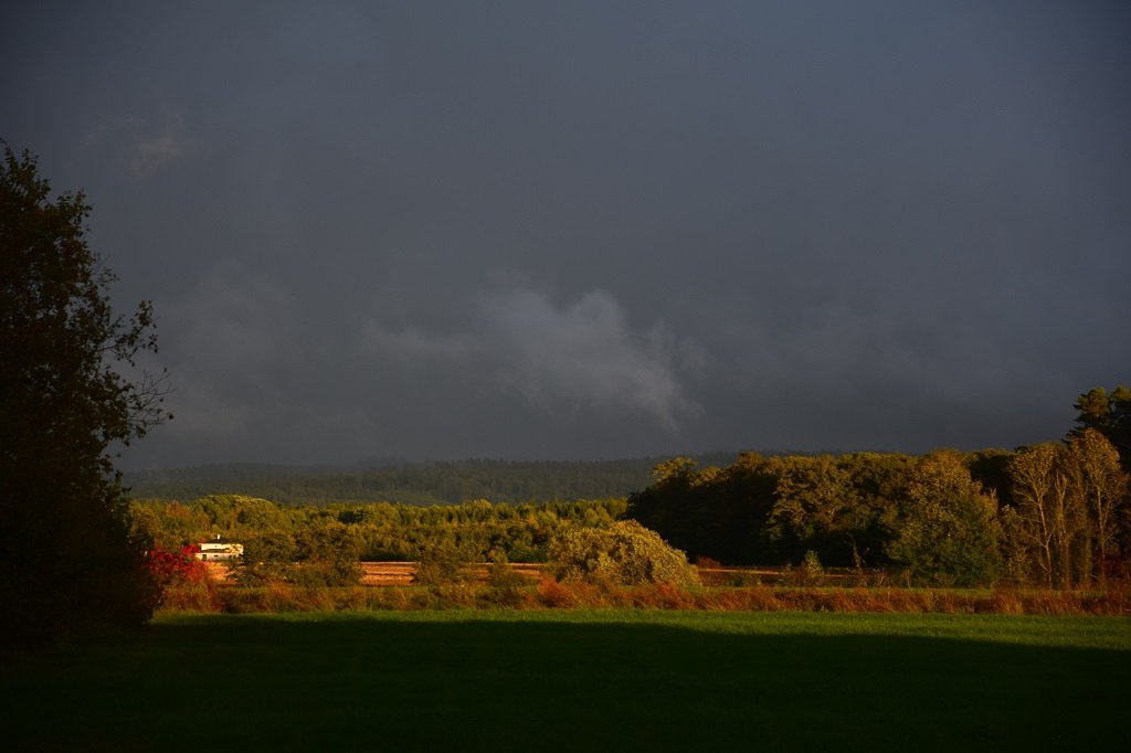 DSC_0445.JPG