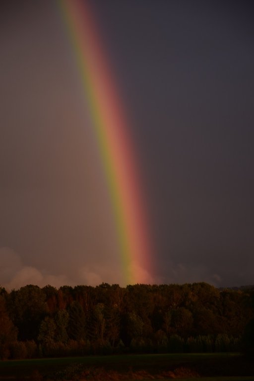 DSC_0467.JPG