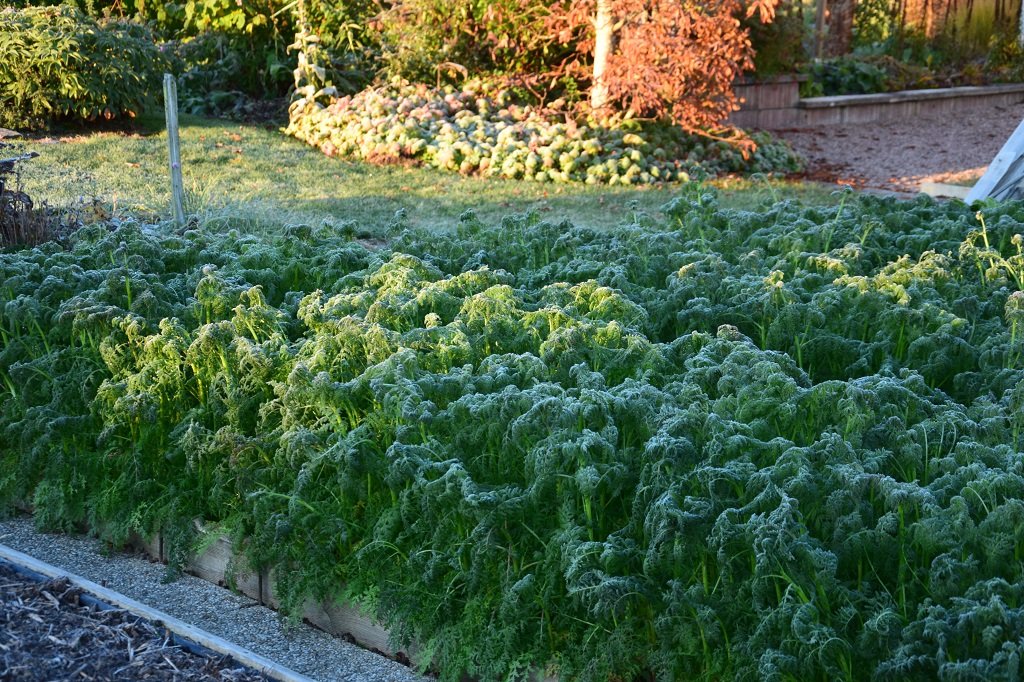 DSC_0535.JPG