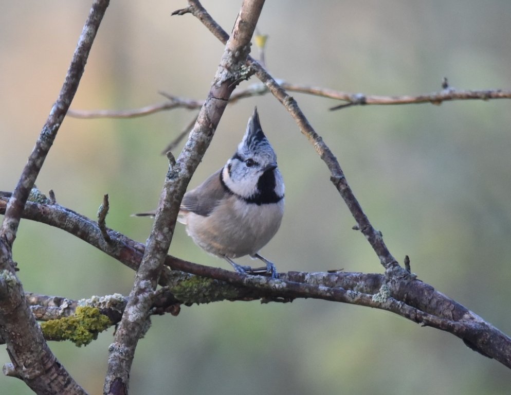 DSC_0364.JPG