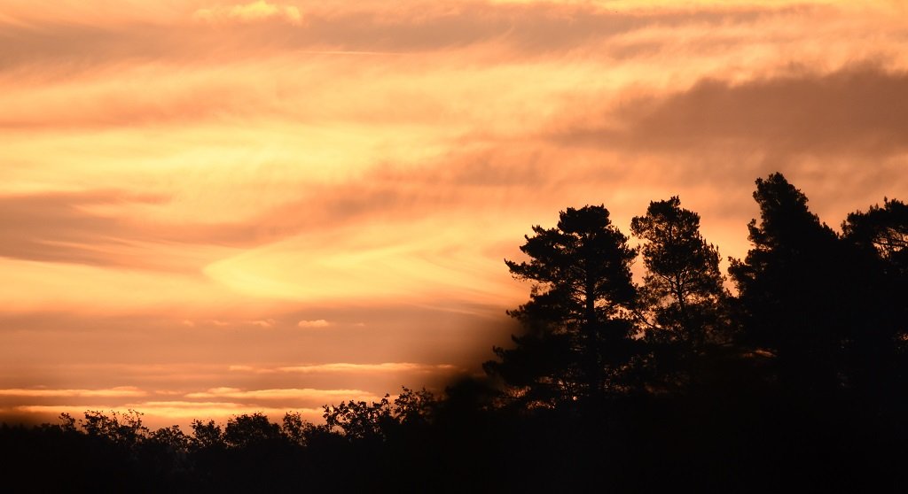 DSC_1016.JPG