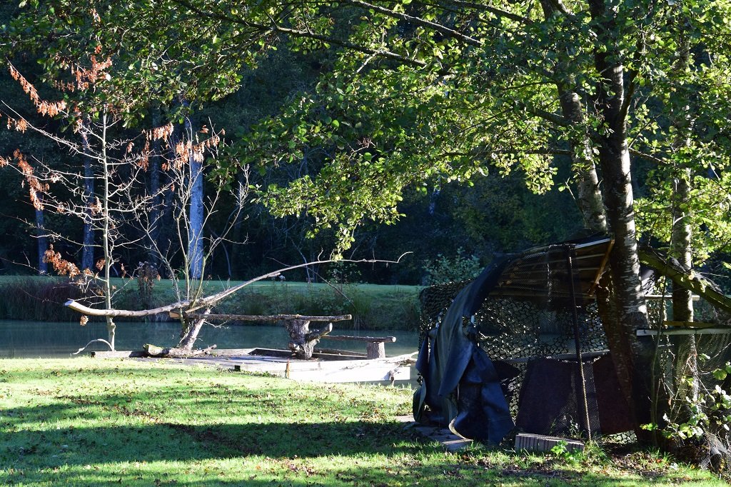 DSC_0756.JPG
